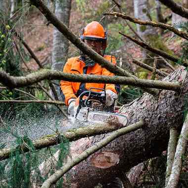 Новая бензопила STIHL MS 462