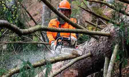Новая бензопила STIHL MS 462